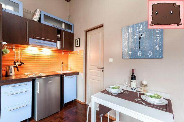 E47 Eotvos Apartment 布达佩斯 外观 照片
