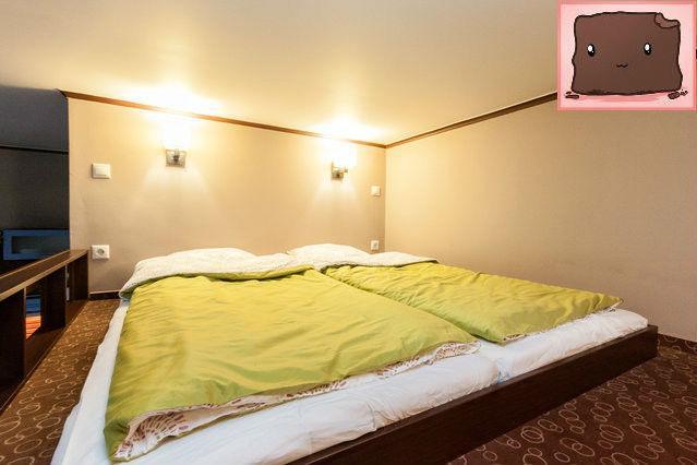 E47 Eotvos Apartment 布达佩斯 外观 照片