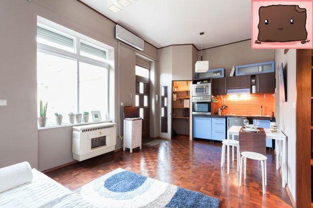 E47 Eotvos Apartment 布达佩斯 外观 照片